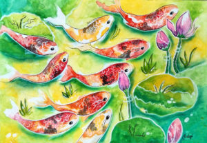 Koi